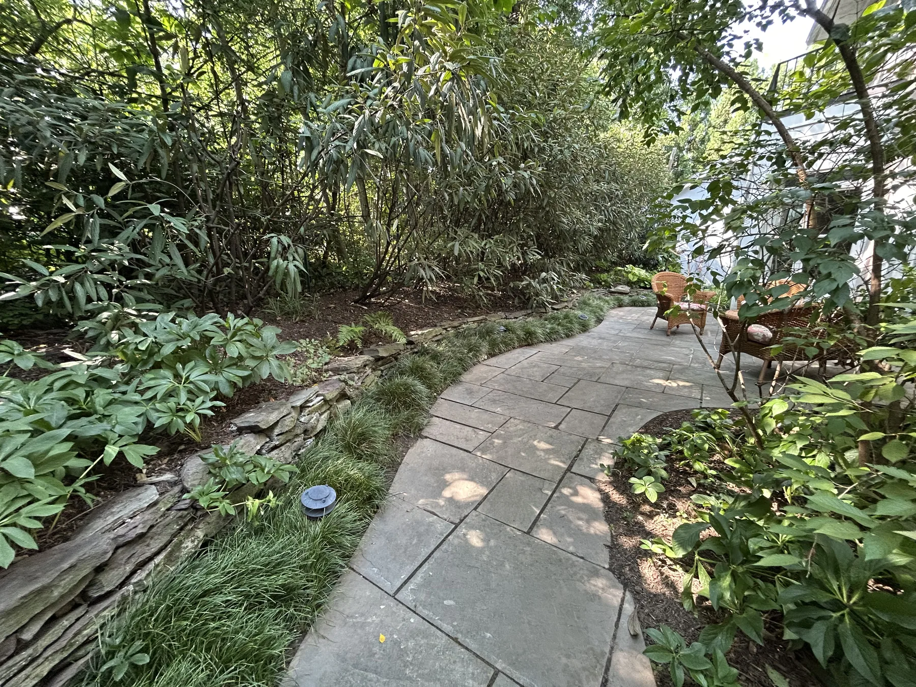 Flagstone path through a cleaned and mulched shade garden